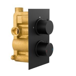 2 Dial 1 Outlet Concealed Thermostatic Shower Round Refined Valve - Matt Black