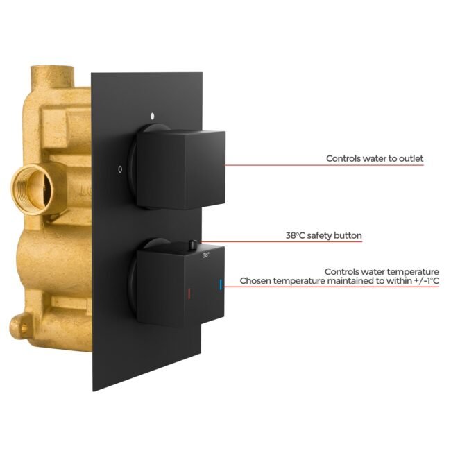 2 Dial 1 Outlet Concealed Thermostatic Shower Square Refined Valve Matte Black - Image 5
